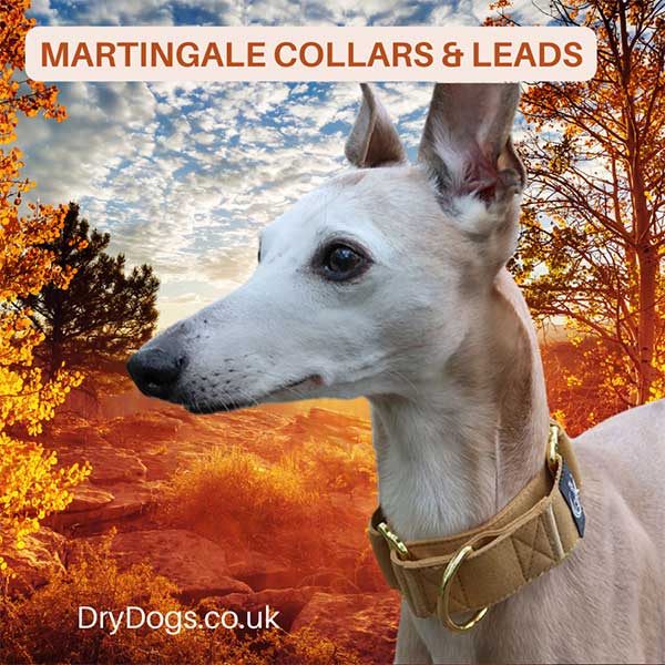 Ultimate Guide to Martingale Collars for Dogs