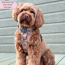 Load image into Gallery viewer, Disney Dogs Collection: Harnesses / Collars / Leads