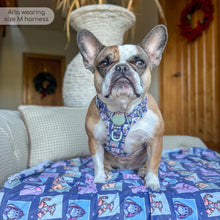 Load image into Gallery viewer, Disney - Winnie the Pooh & Friends Harnesses / Collars / Leads