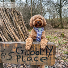 Load image into Gallery viewer, Disney - Winnie the Pooh & Friends Harnesses / Collars / Leads