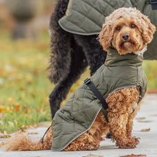 Load image into Gallery viewer, minot green dog coat