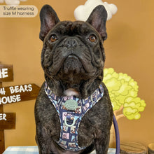 Load image into Gallery viewer, Disney - Winnie the Pooh & Friends Harnesses / Collars / Leads