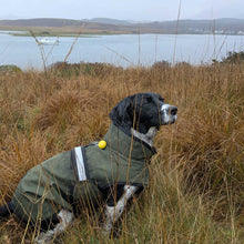 Load image into Gallery viewer, Dog in a green jacket sitting in tall grass near a body of water
