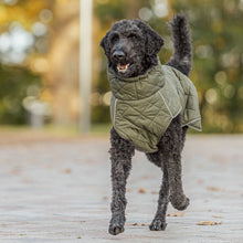 Load image into Gallery viewer, poodle in dog coat