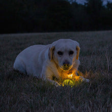 Load image into Gallery viewer, Rechargeable dog toy ball