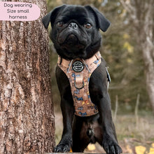 Load image into Gallery viewer, Disney Dogs Collection: Harnesses / Collars / Leads