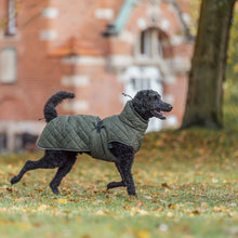 Load image into Gallery viewer, olive green autum dog jacket