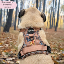 Load image into Gallery viewer, Disney Dogs Collection: Harnesses / Collars / Leads