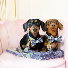 Load image into Gallery viewer, Disney - Winnie the Pooh & Friends Harnesses / Collars / Leads