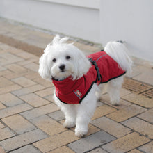 Load image into Gallery viewer, red dog coat with underbelly