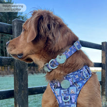 Load image into Gallery viewer, Disney - Winnie the Pooh & Friends Harnesses / Collars / Leads