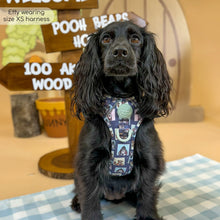 Load image into Gallery viewer, Disney - Winnie the Pooh & Friends Harnesses / Collars / Leads
