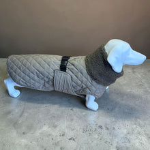 Load image into Gallery viewer, Andora - Quilted Dachshund Coat with Fleece Neck