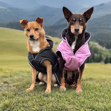 Load image into Gallery viewer, Two dogs sitting on a grassy hill wearing hooded rain jackets, with a mountain landscape in the background. One dog wears a black jacket and the other wears a pink jacket.