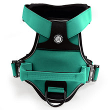 Load image into Gallery viewer, Tactical K9 Endurance Dog Collars / Leads / Harnesses