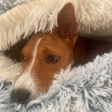 Load image into Gallery viewer, Basenji dog bed with lid