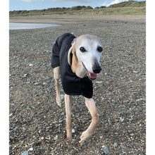 Load image into Gallery viewer, joey the whippet on the beach wearing a beautify whippet coat from drydogs.co.uk
