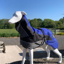 Load image into Gallery viewer, drydogs "Blaze" greyhound coat blue