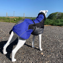 Load image into Gallery viewer, drydogs "Blaze" greyhound coat blue