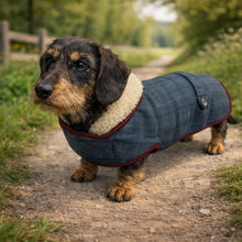 Load image into Gallery viewer, dachshund tweed jacket / coat