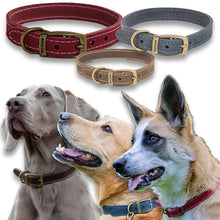 Load image into Gallery viewer, British made leather dog collars and leads - made in the UK
