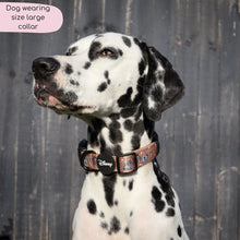 Load image into Gallery viewer, Disney Dogs Collection: Harnesses / Collars / Leads
