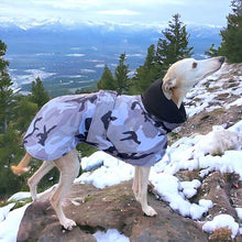 Load image into Gallery viewer, Camouflage whippet and greyhound coats with harness hole