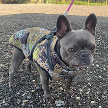 Load image into Gallery viewer, French bulldog coat in camouflage
