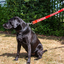 Load image into Gallery viewer, Black dog on a red 'CAUTION' leash in a grassy area with greenery.