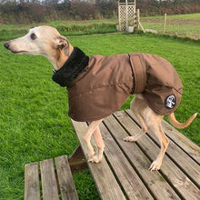 Load image into Gallery viewer, chocolate brown ofira whippet coat from drydogs