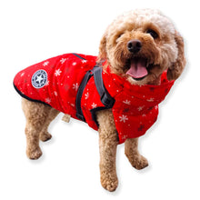 Load image into Gallery viewer, snowflake dog gift for christmas