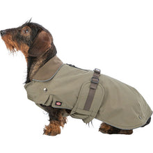 Load image into Gallery viewer, Country dachshund dog coat. Olive green with harness hole