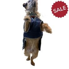 Load image into Gallery viewer, dog coat with belly protection