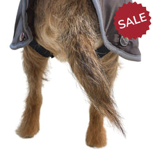 Load image into Gallery viewer, dog coat with belly protector and harness hole