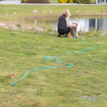 Load image into Gallery viewer, Person with a dog on a leash in a park setting
