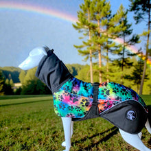 Load image into Gallery viewer, Dog wearing a colorful raincoat with a rainbow in the background