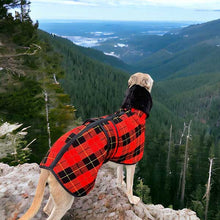 Load image into Gallery viewer, Fleece faux fur lumberjack sighthound coat