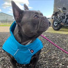 Load image into Gallery viewer, Waterproof Frenchy Dog Coat
