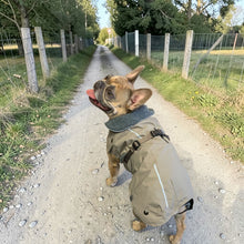 Load image into Gallery viewer, back of the frenchy dog coat in woods