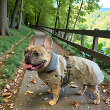 Load image into Gallery viewer, Frenchie dog coat in forest