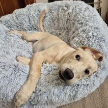 Load image into Gallery viewer, best giant dog beds