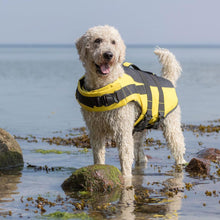 Load image into Gallery viewer, floatation aid for dogs
