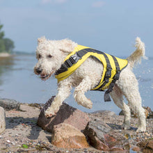 Load image into Gallery viewer, life jacket for dogs