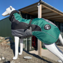 Load image into Gallery viewer, drydogs "Blaze" greyhound coat green