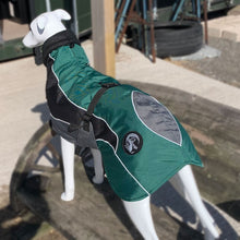 Load image into Gallery viewer, drydogs "Blaze" greyhound coat green