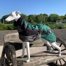 Load image into Gallery viewer, drydogs "Blaze" greyhound coat green