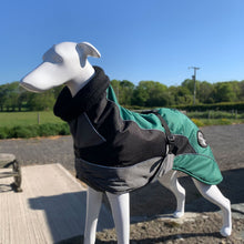 Load image into Gallery viewer, drydogs blaze greyhound coat in green