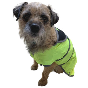 dog coat with harness hole. HiVis and reflective