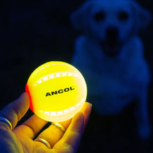 Load image into Gallery viewer, Rechargeable dog toy ball