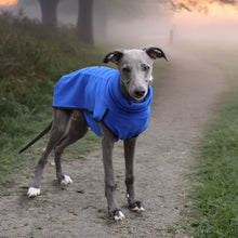 Load image into Gallery viewer, logan wearing drydogs blue whippet base layer - 4months old